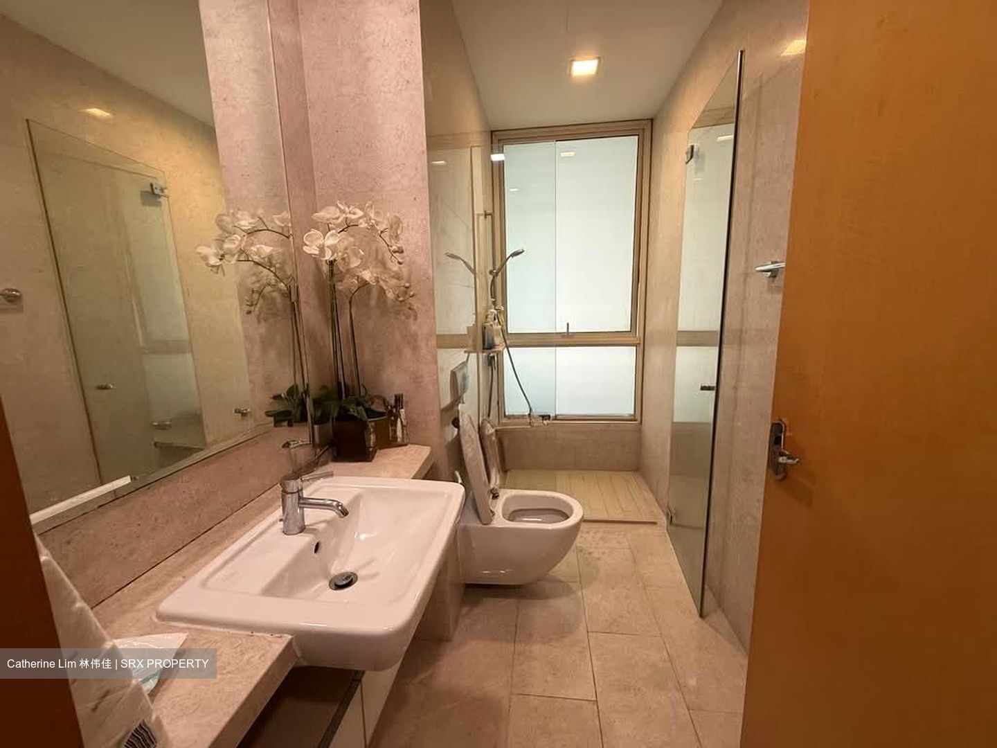 Scotts Highpark (D9), Condominium #569753041